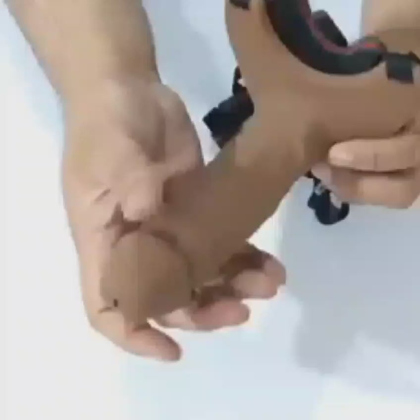 Premium Strap-On Dildo with Adjustable Harness